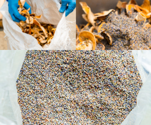 Feature: De afgørende botanicals